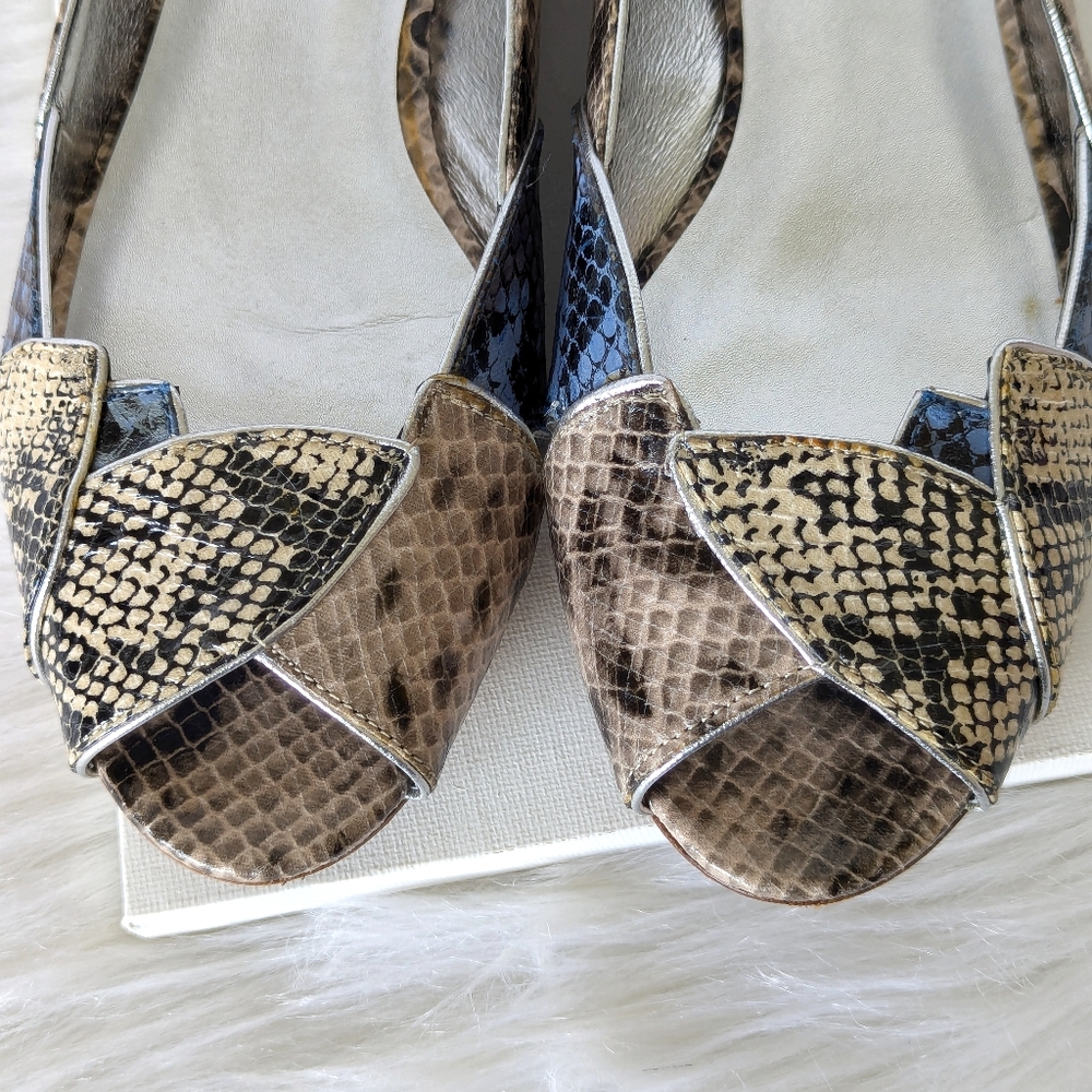 Daniblack Shoes - Picture 5 of 12